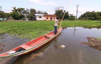 drama 5 canoa para ingresar