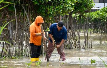 MANGLAR PARQUE HISTÓRICO