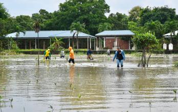 Parque Histórico manglar