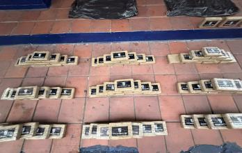 La organización utilizaba actividades comerciales legales, como la exportación de concentrado de oro y banano.