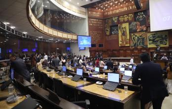 El Pleno de la Asamblea declaró al 8 de diciembre como día conmemorativo por Josué, Nehemías, Steven e Ismael, los cuatro menores de Las Malvinas.