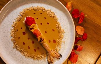 ENTREVISTA ALEJANDRA (16026751)