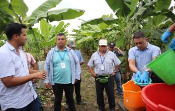 Ministerio de Agricultura e Iniap