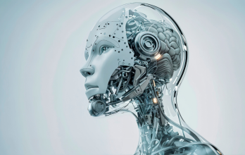 La IA y los robots blandos