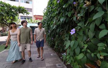 Plantas ornamentales invasivas.