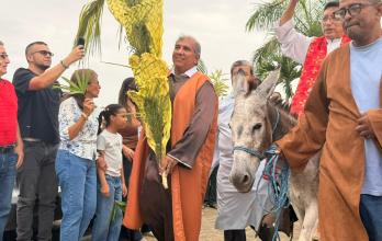 Schoenstatt domingo de ramos
