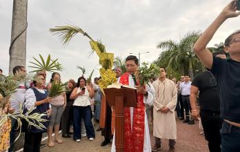 Schoenstatt domingo de ramos
