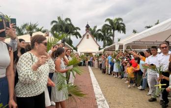 Schoenstatt domingo de ramos