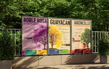 Infografías flora nativa