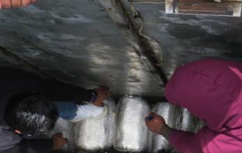 paquetes dentro de un vehículo parte de un cargamento de marihuana que fue incautado en la provincia de Carchi, fronteriza con Colombia.