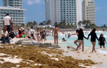 Turistas caminan en una playa impactada sargazo