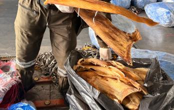 Decomiso aletas de tiburón.