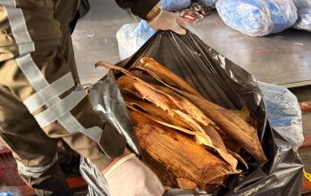 Aletas de tiburón Guayaquil