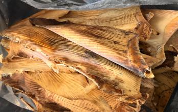 Aletas de tiburón Guayaquil