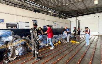 Aletas de tiburón Guayaquil