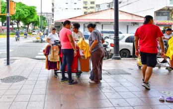 COMERCIO INFORMAL (16151161)