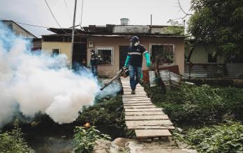 DENGUE EN GUAYAQUIL