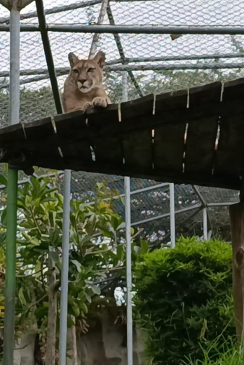 Zoológico