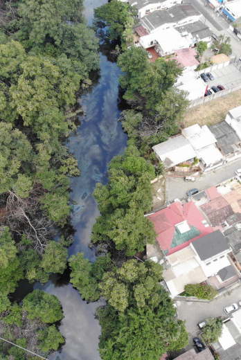 Estero Salado