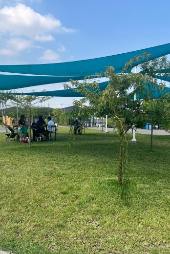 Parque bi