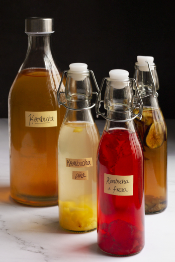 Alimentos fermentados