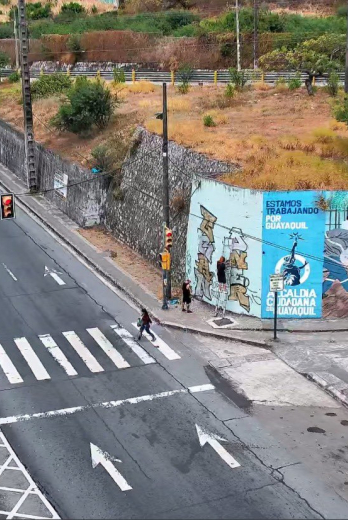 Los sujetos pintaban un mural