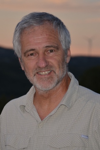Ramón Méndez Galain