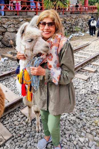 Tren de Alausí