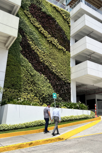 Fachada verde de las torres 100 Olivos Parc