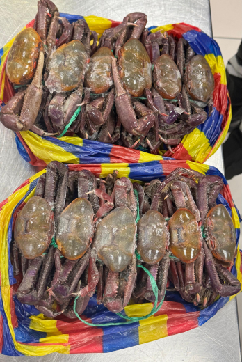 cangrejos