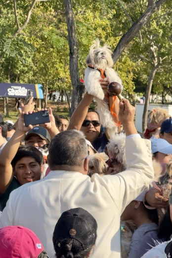 Bendición de animales Guayaquil