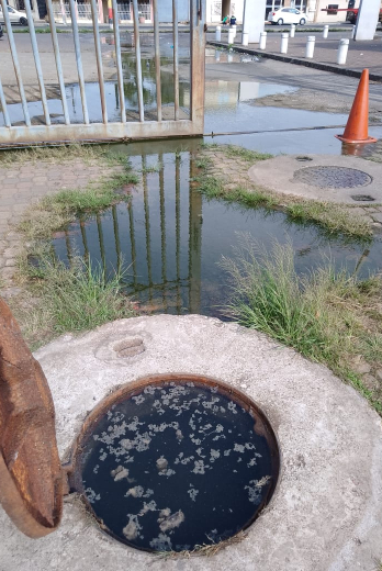 ALCANTARILLA HOSPITAL GUASMO SUR