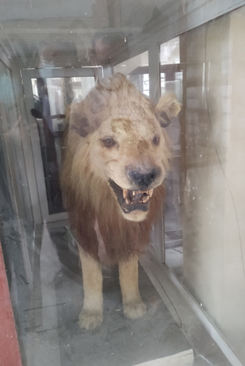 Museo del colegio Vicente Rocafuerte