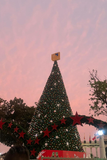 Árbol de Navidad del Malecón 2000.