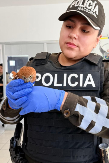 Policía Nacional