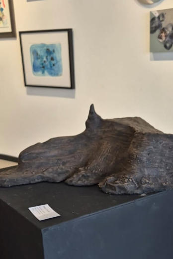 ANTONIO EDIT NUEVO SITIO EXTRA (1470 x 660 px) (Post de Instagram (34))