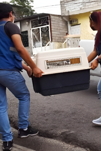 operativo de Proanimal en Guayaquil