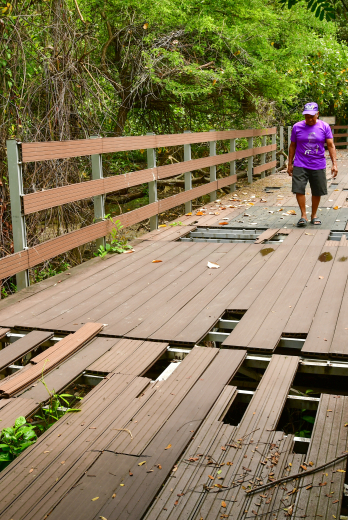 TURISMO EN LA ISLA SA (15801302)