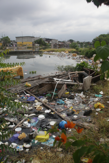estero Salado con basura