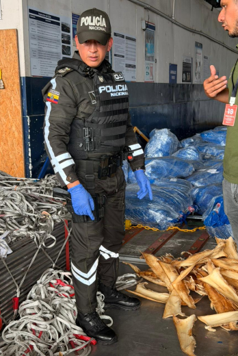 Policía Nacional Aletas de Tiburón