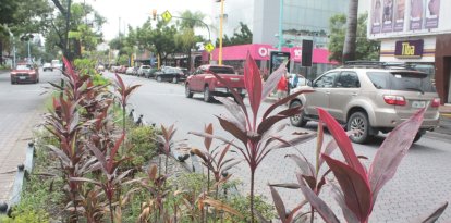 Las peatonales y áreas verdes de Urdesa requieren mantenimiento permanente, con tareas que involucran al Municipio y la participación de los vecinos.