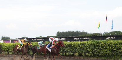Emocionantes jornadas hípicas se viven en El Buijo cada domingo.

PERIODISTA: ANDRES GARCIA.

AG-EXTERNOS.