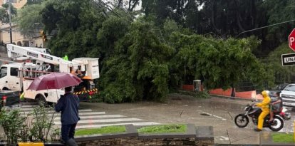 Un árbol cayó en el sector de Lomas de Urdesa, dejando sin luz al sector por horas.