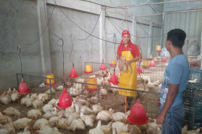 En Pollos Jimmy, avícola de Guayaquil, la libra de pollo se vende en $ 0,97 y la de pavo, en $ 1,99.