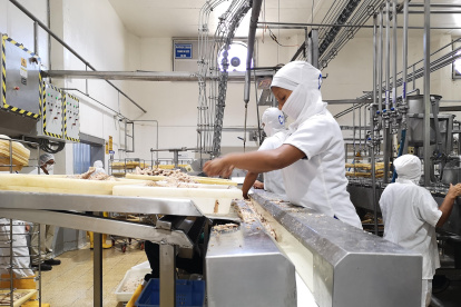 La conservas de pescados ocupan el primer sitio en exportaciones no tradicionales.