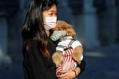 El gobierno chino ha recomendado poner en cuarentena a las mascotas.