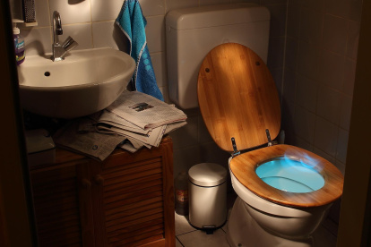 Los inodoros pueden funcionar para otros fines, según demuestran estos científicos.