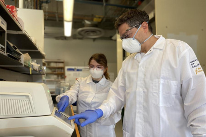 El científico ecuatoriano Diego Fernando Acosta Alvear, junto a Sabrina Solley, en su laboratorio, en Santa Bárbara, California, Estados Unidos.
