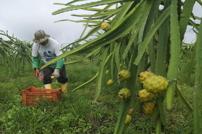 El sector agrícola está exento de este pago.