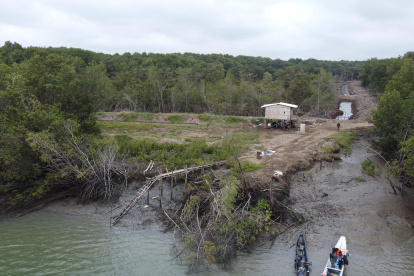 Una de las talas que EXPRESO pudo captar durante un recorrido en el golfo.